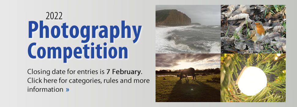 Photo Competition 2022